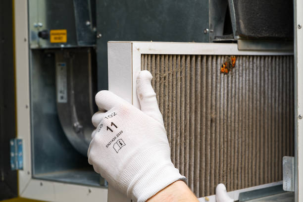 Best Professional Duct Cleaning Services  in Pine Hill, NJ