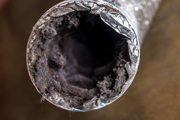 Best Air Duct Cleaning Near Me  in Pine Hill, NJ