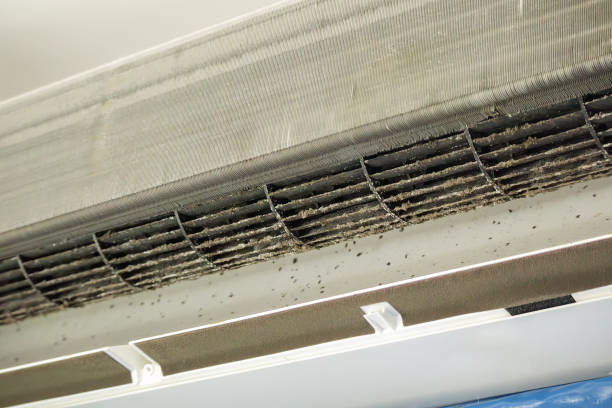 Best Air Duct Cleaning Near Me  in Pine Hill, NJ