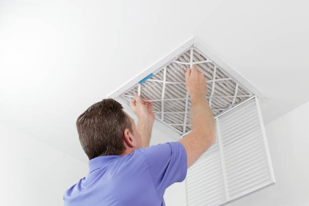 Best Local Air Duct Cleaning Services  in Pine Hill, NJ